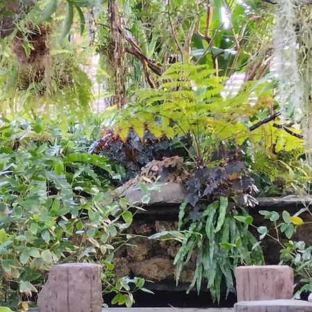 Sareeviengping Hotel Chiangmai Chiang Mai Eksteriør billede