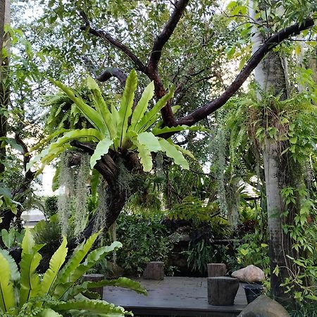 Sareeviengping Hotel Chiangmai Chiang Mai Eksteriør billede