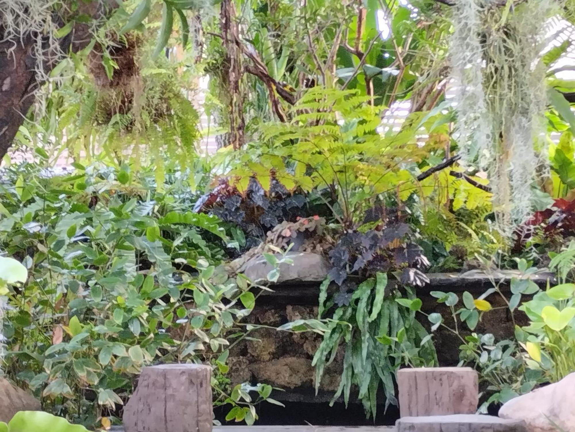 Sareeviengping Hotel Chiangmai Chiang Mai Eksteriør billede