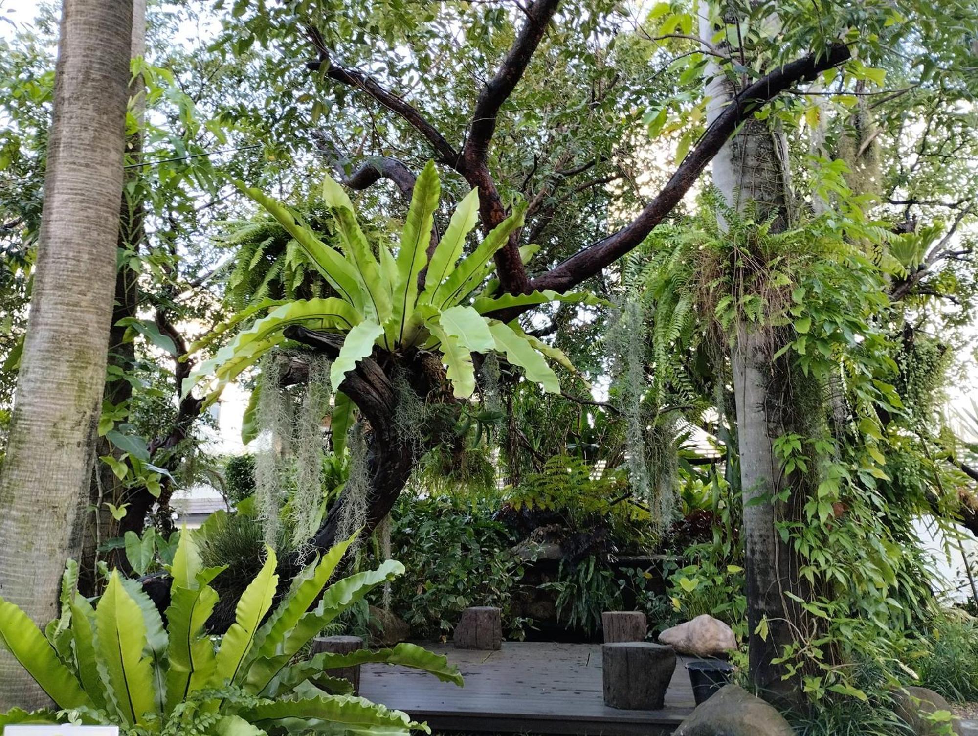 Sareeviengping Hotel Chiangmai Chiang Mai Eksteriør billede